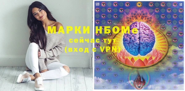 ПСИЛОЦИБИНОВЫЕ ГРИБЫ Арсеньев