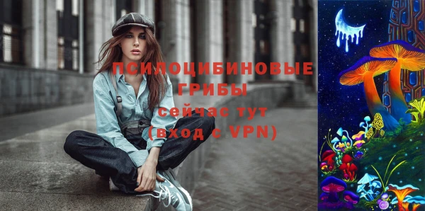 ПСИЛОЦИБИНОВЫЕ ГРИБЫ Арсеньев