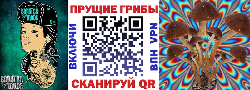 Галлюциногенные грибы мухоморы  Северобайкальск 